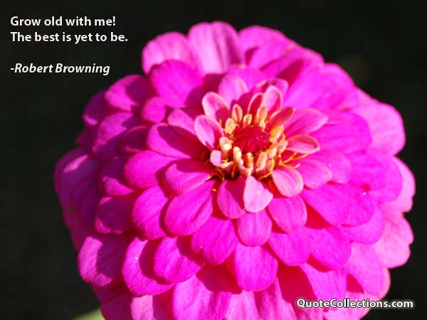 Robert Browning Quotes3